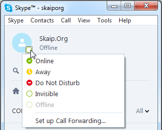 The Skype status icon in the main program window